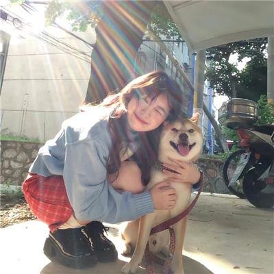 女总裁成凤归乡